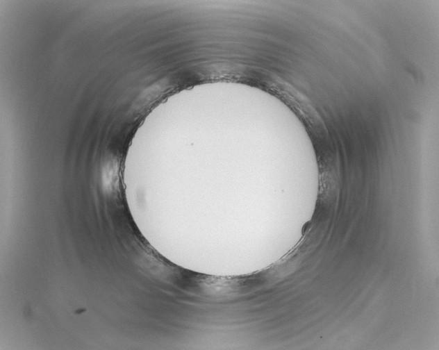 X0000115780142200912041459