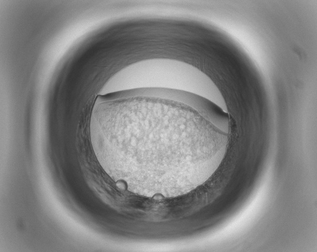 X0000115780143200912041459