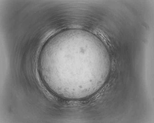 X0000115780145200912041458