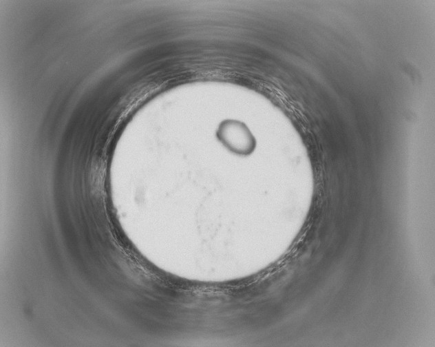 X0000115780146200912041458