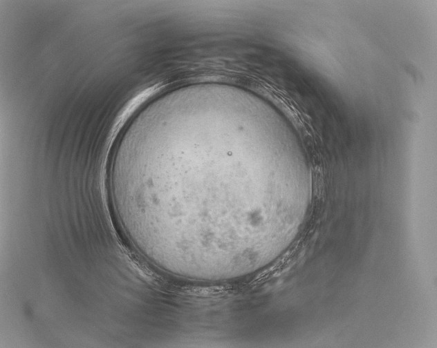 X0000115780147200912041458