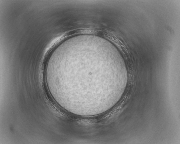 X0000115780149200912041458