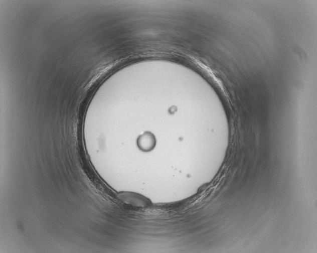 X0000115780154200912041458