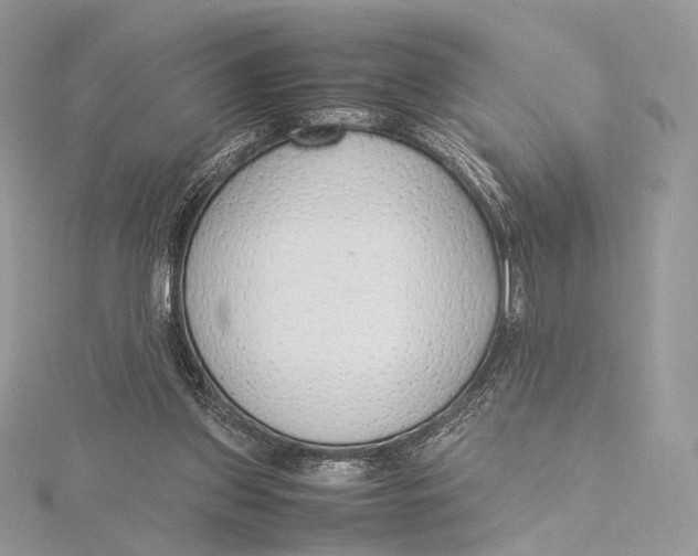 X0000115780157200912041458