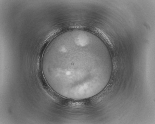 X0000115780163200912041459