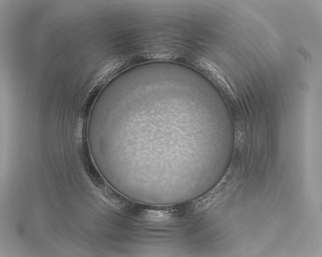 X0000115780167200912041459