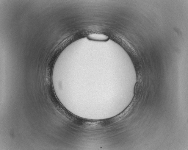 X0000115780170200912041459