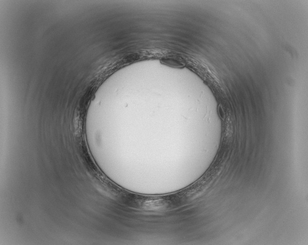 X0000115780173200912041459