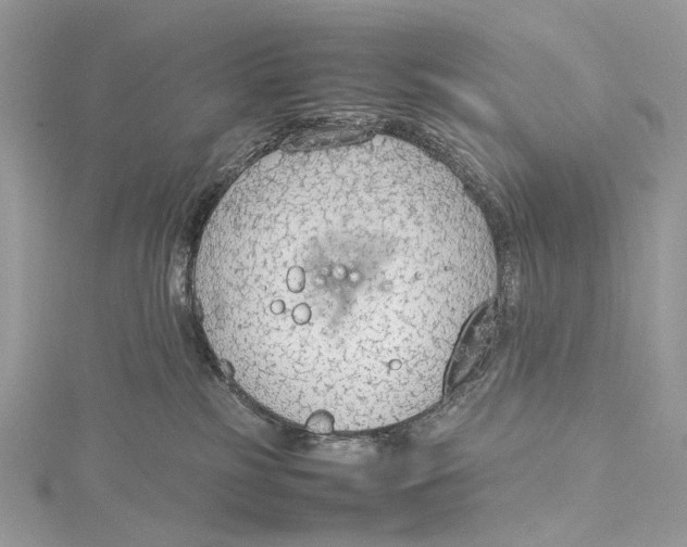 X0000115780185200912041459