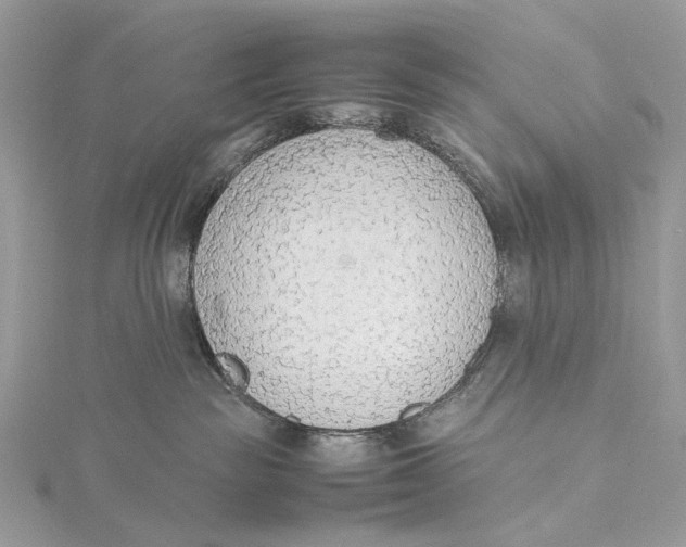 X0000115780189200912041459