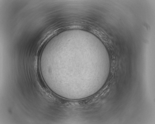 X0000115780194200912041458