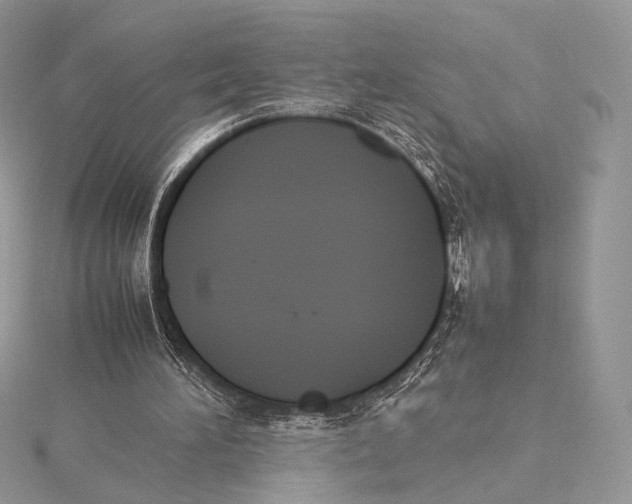 X0000115780196200912041458