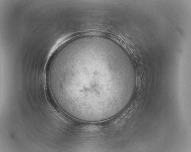 X0000115780198200912041458