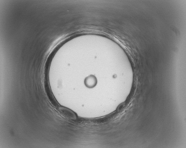 X0000115780199200912041458