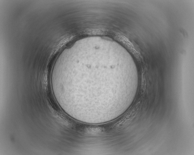 X0000115780202200912041458