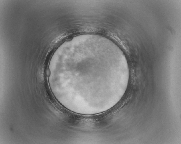 X0000115780203200912041458