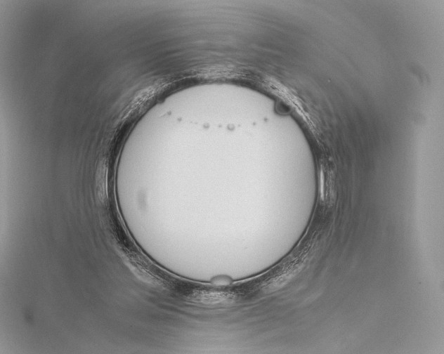 X0000115780205200912041458