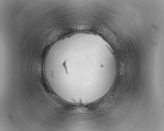 X0000115780210200912041458