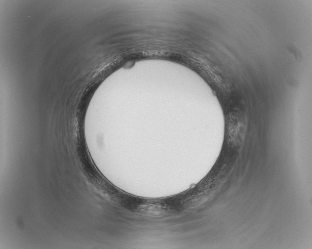 X0000115780211200912041458