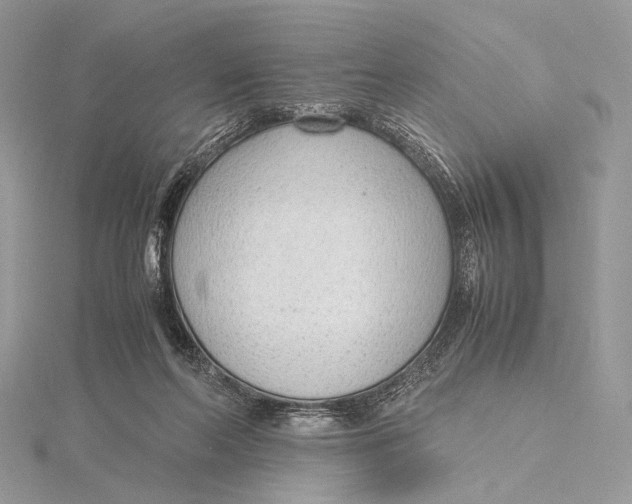 X0000115780214200912041458