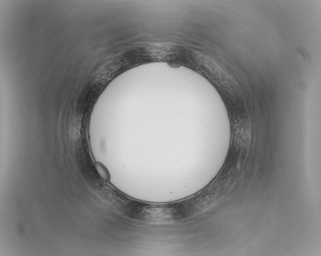 X0000115780221200912041458