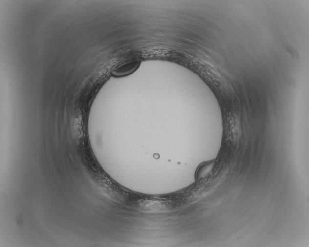 X0000115780224200912041458