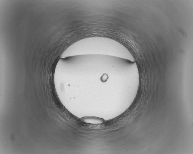 X0000115780225200912041458