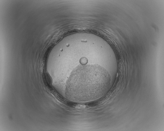 X0000115780227200912041458