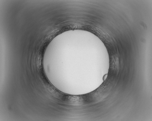 X0000115780230200912041458