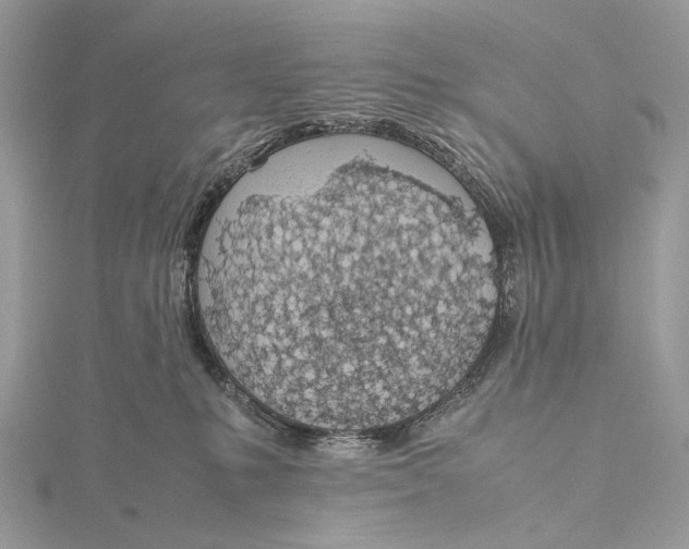 X0000115780231200912041458