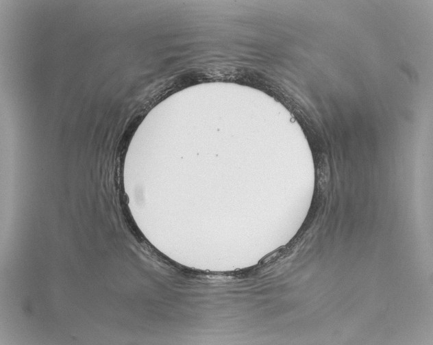 X0000115780233200912041458