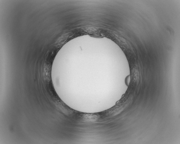 X0000115780234200912041458