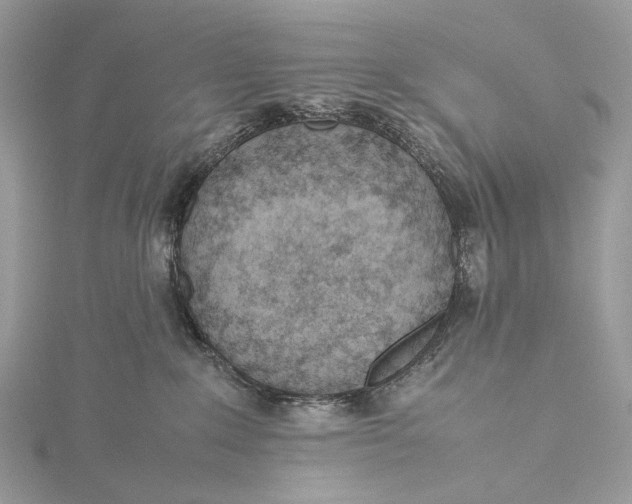 X0000115780235200912041458