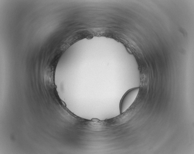 X0000115780238200912041458