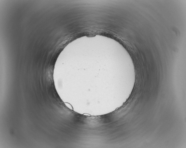 X0000115780240200912041458