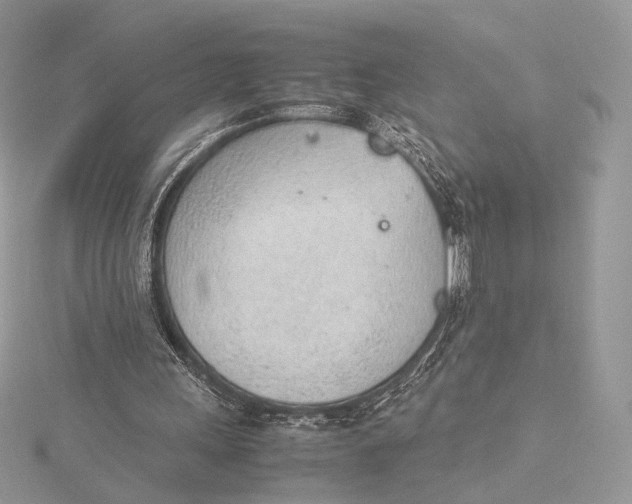 X0000115780243200912041457