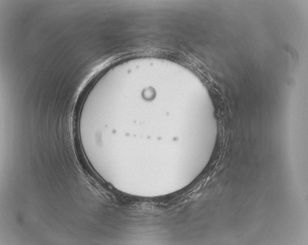 X0000115780244200912041457