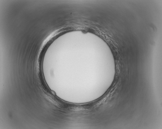 X0000115780246200912041457