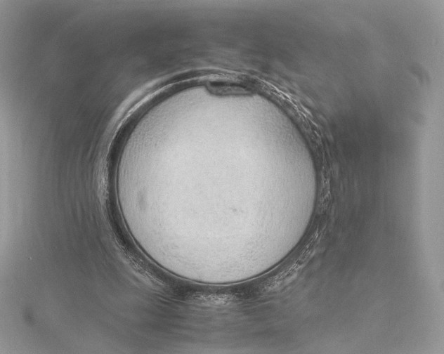 X0000115780247200912041457