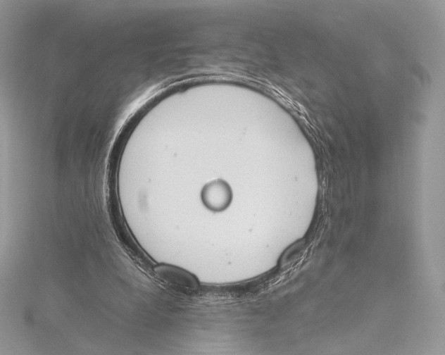 X0000115780248200912041457