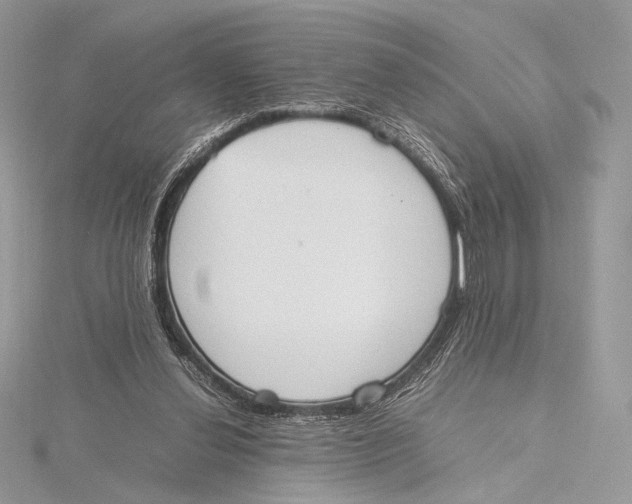 X0000115780252200912041457