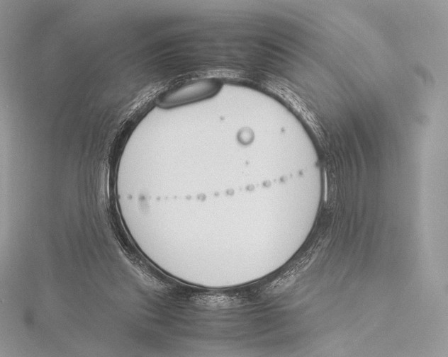 X0000115780253200912041457