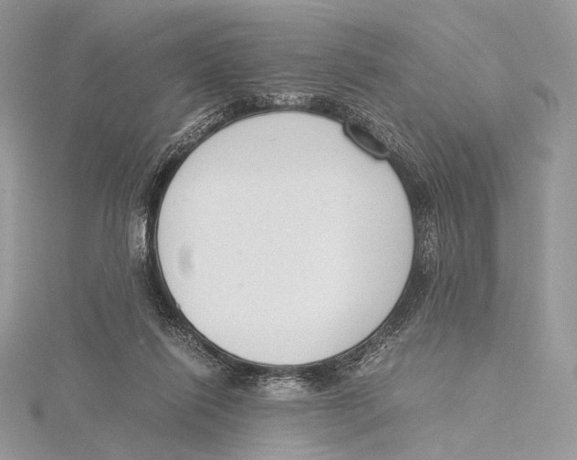 X0000115780262200912041457