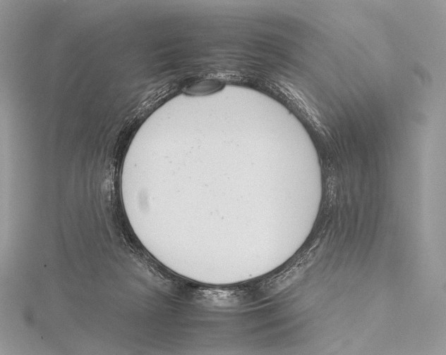 X0000115780265200912041457