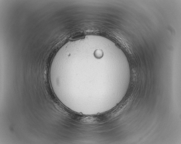 X0000115780269200912041457