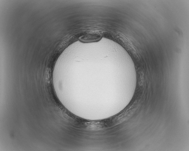 X0000115780273200912041457