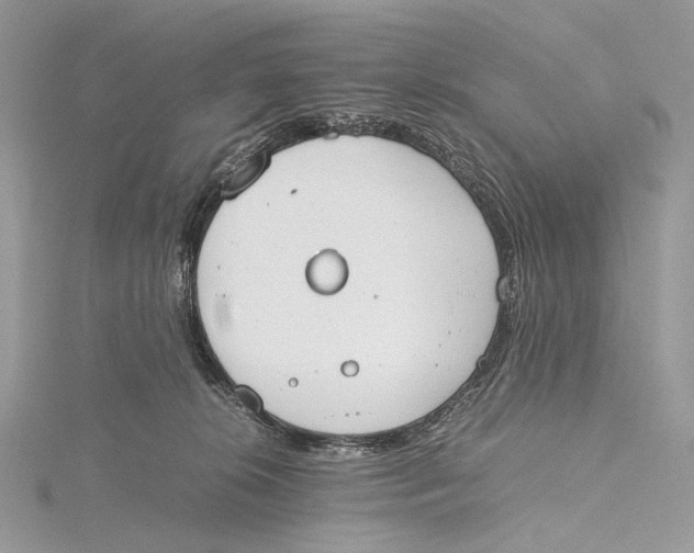 X0000115780276200912041457