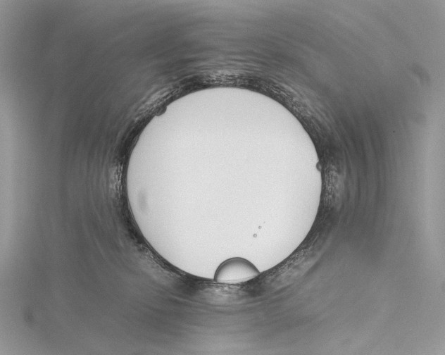 X0000115780278200912041457