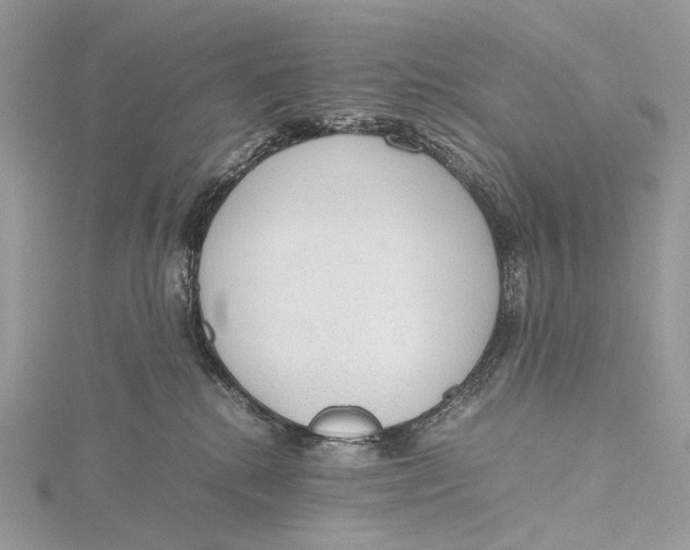 X0000115780280200912041457