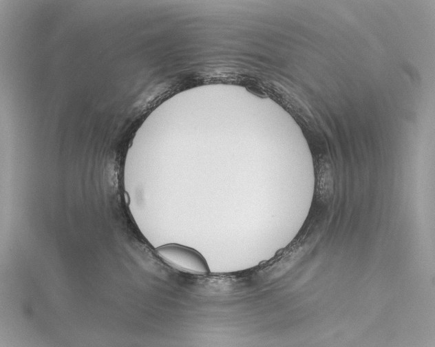 X0000115780282200912041457